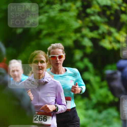 11.10.2026 - Bramfelder Halbmarathon 2026 LAZAROV Photography http://msf.ph/oto/10843936 11.10.2026 10:54:06 Laufen 266 meine-sportfotos.de