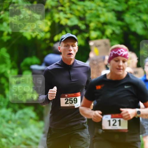 11.10.2026 - Bramfelder Halbmarathon 2026 LAZAROV Photography http://msf.ph/oto/10844156 11.10.2026 10:57:09 Laufen 259, 274, 121 meine-sportfotos.de