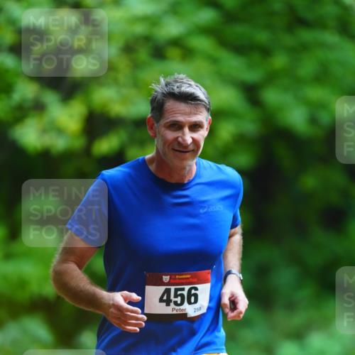 11.10.2026 - Bramfelder Halbmarathon 2026 LAZAROV Photography http://msf.ph/oto/10844242 11.10.2026 10:58:18 Laufen 35, 456, 288 meine-sportfotos.de
