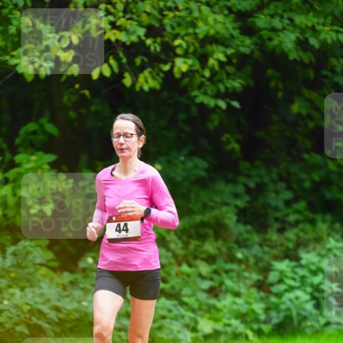 11.10.2026 - Bramfelder Halbmarathon 2026 LAZAROV Photography http://msf.ph/oto/10844473 11.10.2026 11:00:51 Laufen 44 meine-sportfotos.de