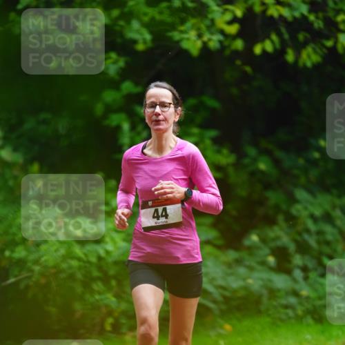 11.10.2026 - Bramfelder Halbmarathon 2026 LAZAROV Photography http://msf.ph/oto/10844478 11.10.2026 11:00:52 Laufen 44 meine-sportfotos.de