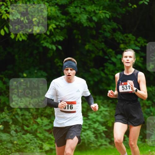 11.10.2026 - Bramfelder Halbmarathon 2026 LAZAROV Photography http://msf.ph/oto/10844678 11.10.2026 11:04:19 Laufen 16, 531 meine-sportfotos.de