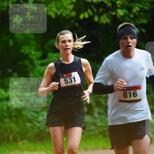 11.10.2026 - Bramfelder Halbmarathon 2026 LAZAROV Photography http://msf.ph/oto/10844683 11.10.2026 11:04:22 Laufen 531, 289, 816 meine-sportfotos.de