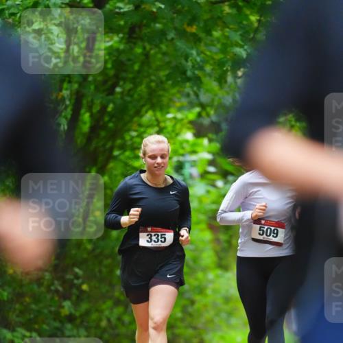 11.10.2026 - Bramfelder Halbmarathon 2026 LAZAROV Photography http://msf.ph/oto/10845102 11.10.2026 11:12:34 Laufen 335, 509 meine-sportfotos.de