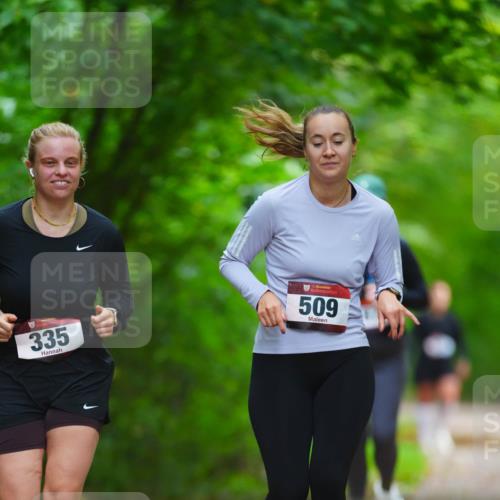 11.10.2026 - Bramfelder Halbmarathon 2026 LAZAROV Photography http://msf.ph/oto/10845109 11.10.2026 11:12:37 Laufen 335, 509 meine-sportfotos.de