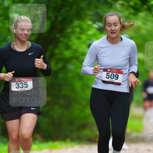 11.10.2026 - Bramfelder Halbmarathon 2026 LAZAROV Photography http://msf.ph/oto/10845111 11.10.2026 11:12:38 Laufen 335, 509 meine-sportfotos.de
