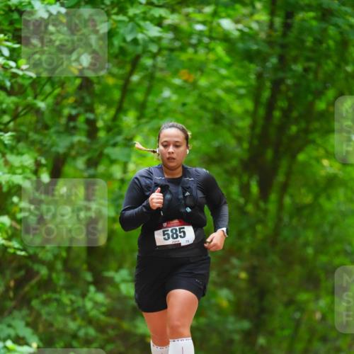 11.10.2026 - Bramfelder Halbmarathon 2026 LAZAROV Photography http://msf.ph/oto/10845112 11.10.2026 11:13:03 Laufen 585, 75 meine-sportfotos.de