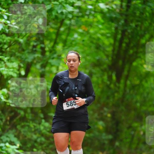 11.10.2026 - Bramfelder Halbmarathon 2026 LAZAROV Photography http://msf.ph/oto/10845113 11.10.2026 11:13:03 Laufen 585, 75 meine-sportfotos.de
