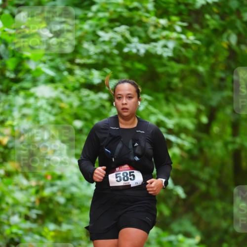 11.10.2026 - Bramfelder Halbmarathon 2026 LAZAROV Photography http://msf.ph/oto/10845117 11.10.2026 11:13:05 Laufen 585, 75 meine-sportfotos.de