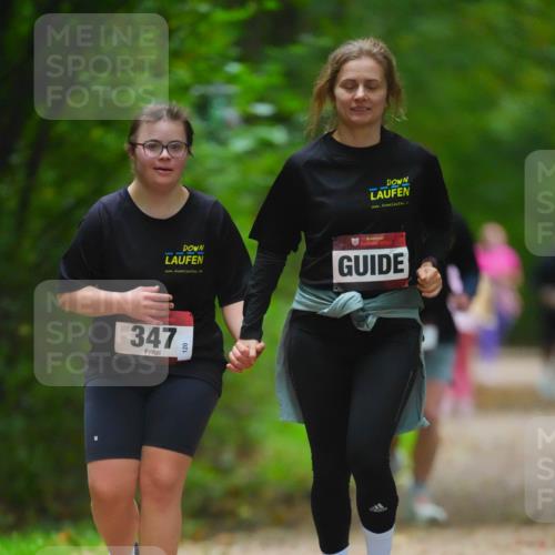 11.10.2026 - Bramfelder Halbmarathon 2026 LAZAROV Photography http://msf.ph/oto/10847879 11.10.2026 11:47:57 Laufen 347 meine-sportfotos.de