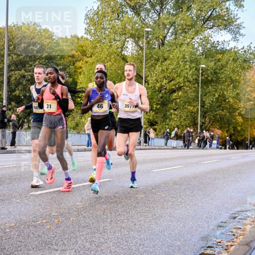 25.10.2026 - hella hamburg halbmarathon Dr. Thomas Lammeyer http://msf.ph/oto/11052560 25.10.2026 10:12:33 Kennedybrücke 168, 31, 46, 35776, 34074 meine-sportfotos.de