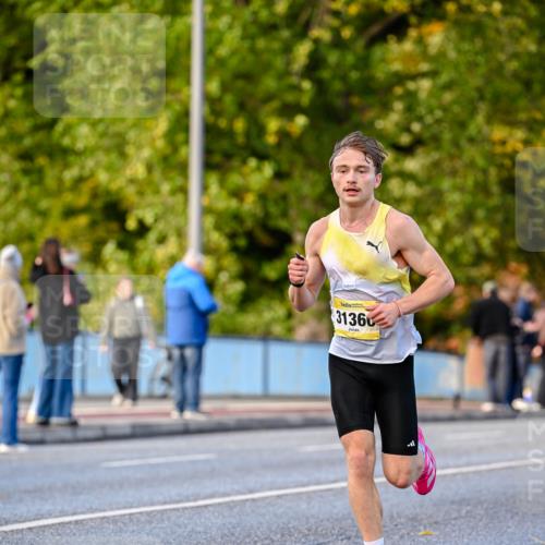 25.10.2026 - hella hamburg halbmarathon Dr. Thomas Lammeyer http://msf.ph/oto/11053264 25.10.2026 10:15:26 Kennedybrücke 31360 meine-sportfotos.de