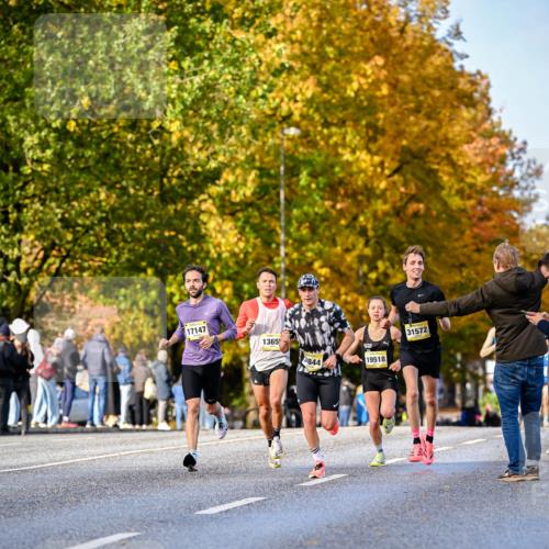 25.10.2026 - hella hamburg halbmarathon Dr. Thomas Lammeyer http://msf.ph/oto/11053395 25.10.2026 10:15:48 Kennedybrücke 17147, 1365, 31572, 3844, 19518 meine-sportfotos.de