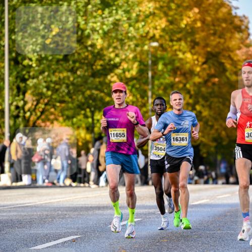 25.10.2026 - hella hamburg halbmarathon Dr. Thomas Lammeyer http://msf.ph/oto/11053723 25.10.2026 10:16:19 Kennedybrücke 11655, 179, 3504, 16361, 30 meine-sportfotos.de