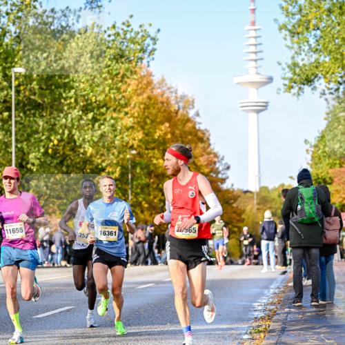 25.10.2026 - hella hamburg halbmarathon Dr. Thomas Lammeyer http://msf.ph/oto/11053733 25.10.2026 10:16:21 Kennedybrücke 11655, 35, 16361, 39965 meine-sportfotos.de