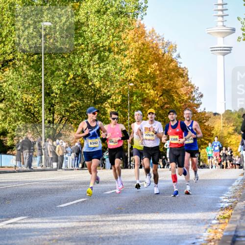 25.10.2026 - hella hamburg halbmarathon Dr. Thomas Lammeyer http://msf.ph/oto/11053973 25.10.2026 10:16:57 Kennedybrücke 6342, 336, 22628, 3388, 4314 meine-sportfotos.de