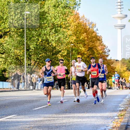 25.10.2026 - hella hamburg halbmarathon Dr. Thomas Lammeyer http://msf.ph/oto/11053974 25.10.2026 10:16:57 Kennedybrücke 336, 6342, 20, 3388, 4314 meine-sportfotos.de
