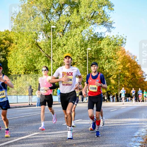 25.10.2026 - hella hamburg halbmarathon Dr. Thomas Lammeyer http://msf.ph/oto/11053990 25.10.2026 10:17:00 Kennedybrücke 342, 3361, 28, 3388 meine-sportfotos.de