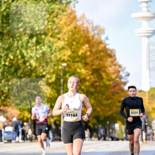 25.10.2026 - hella hamburg halbmarathon Dr. Thomas Lammeyer http://msf.ph/oto/11054278 25.10.2026 10:17:42 Kennedybrücke 8584, 34164 meine-sportfotos.de