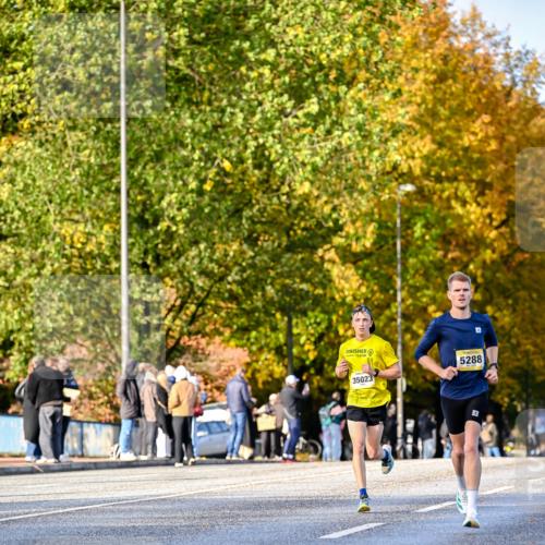 25.10.2026 - hella hamburg halbmarathon Dr. Thomas Lammeyer http://msf.ph/oto/11054318 25.10.2026 10:17:52 Kennedybrücke 73, 9, 35023, 5288 meine-sportfotos.de