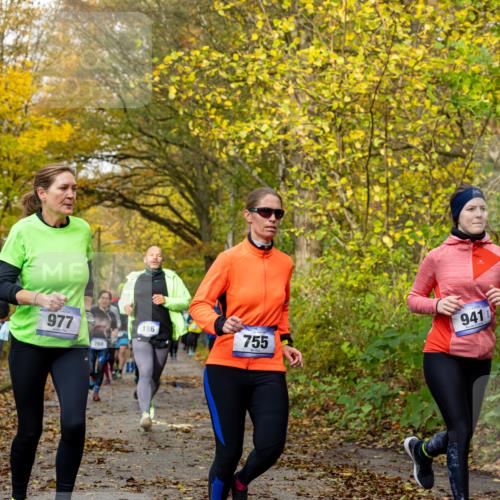 07.11.2021 - Bramfelder Winterlaufserie 2021/2022 Lauf 1 Michael Strokosch http://msf.ph/oto/3594032 07.11.2021 10:43:54 Laufen 977, 941, 186, 755, 768 meine-sportfotos.de