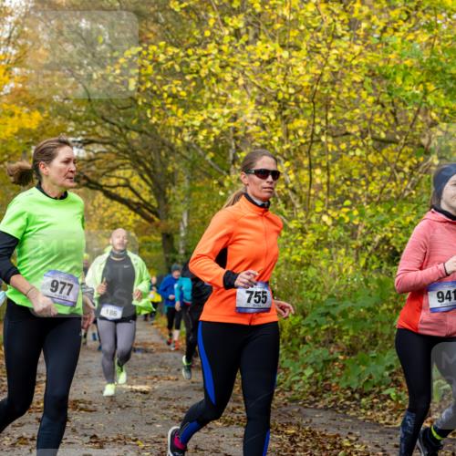 07.11.2021 - Bramfelder Winterlaufserie 2021/2022 Lauf 1 Michael Strokosch http://msf.ph/oto/3594033 07.11.2021 10:43:54 Laufen 941, 977, 755, 186 meine-sportfotos.de