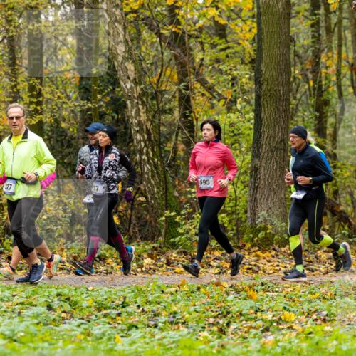 07.11.2021 - Bramfelder Winterlaufserie 2021/2022 Lauf 1 Michael Strokosch http://msf.ph/oto/3594057 07.11.2021 10:47:56 Laufen 595, 217, 827, 31 meine-sportfotos.de