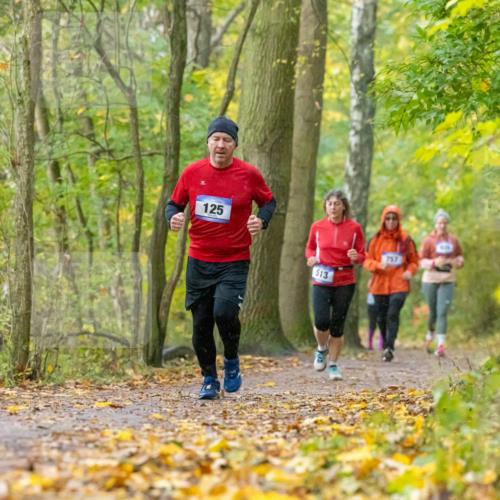 07.11.2021 - Bramfelder Winterlaufserie 2021/2022 Lauf 1 Michael Strokosch http://msf.ph/oto/3594069 07.11.2021 10:57:10 Laufen 125, 757, 513 meine-sportfotos.de