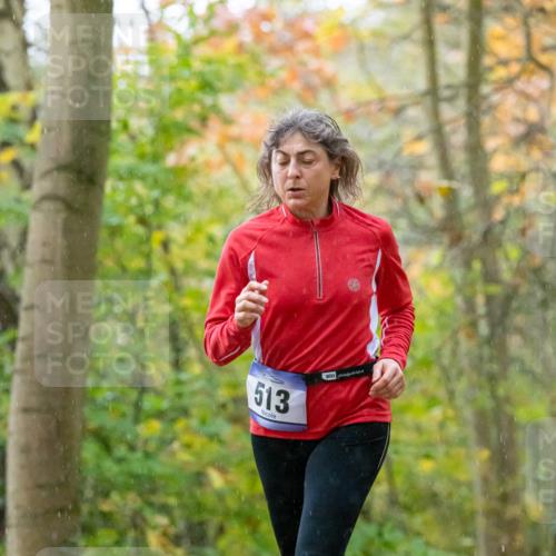 07.11.2021 - Bramfelder Winterlaufserie 2021/2022 Lauf 1 Michael Strokosch http://msf.ph/oto/3594076 07.11.2021 10:57:18 Laufen 513 meine-sportfotos.de