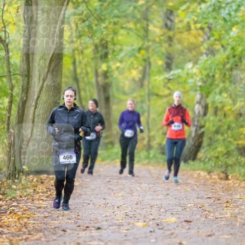 07.11.2021 - Bramfelder Winterlaufserie 2021/2022 Lauf 1 Michael Strokosch http://msf.ph/oto/3594091 07.11.2021 10:58:44 Laufen 466 meine-sportfotos.de