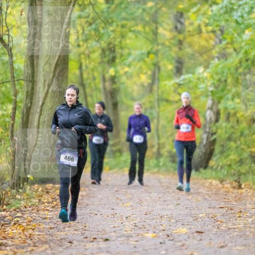 07.11.2021 - Bramfelder Winterlaufserie 2021/2022 Lauf 1 Michael Strokosch http://msf.ph/oto/3594092 07.11.2021 10:58:45 Laufen 466 meine-sportfotos.de