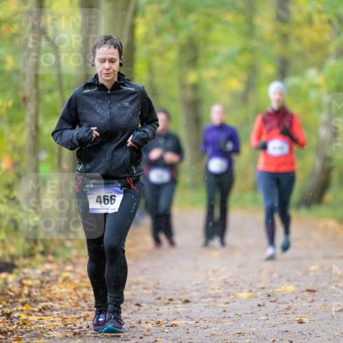 07.11.2021 - Bramfelder Winterlaufserie 2021/2022 Lauf 1 Michael Strokosch http://msf.ph/oto/3594094 07.11.2021 10:58:49 Laufen 466, 2712 meine-sportfotos.de