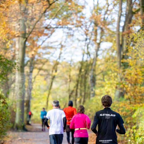 07.11.2021 - Bramfelder Winterlaufserie 2021/2022 Lauf 1 Michael Strokosch http://msf.ph/oto/3594447 07.11.2021 11:47:31 Laufen 2021 meine-sportfotos.de