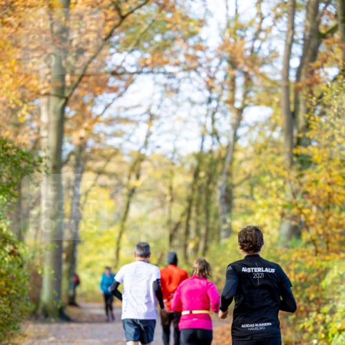 07.11.2021 - Bramfelder Winterlaufserie 2021/2022 Lauf 1 Michael Strokosch http://msf.ph/oto/3594448 07.11.2021 11:47:32 Laufen 2021 meine-sportfotos.de