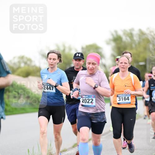 07.04.2024 - 43. Internationalen Wilhelmsburger Insellauf Dr. Thomas Lammeyer http://msf.ph/oto/6038892 07.04.2024 10:29:30 Laufen 2447, 2022, 3164 meine-sportfotos.de