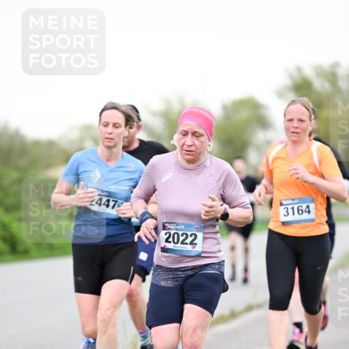07.04.2024 - 43. Internationalen Wilhelmsburger Insellauf Dr. Thomas Lammeyer http://msf.ph/oto/6038896 07.04.2024 10:29:31 Laufen 2447, 2022, 3164 meine-sportfotos.de