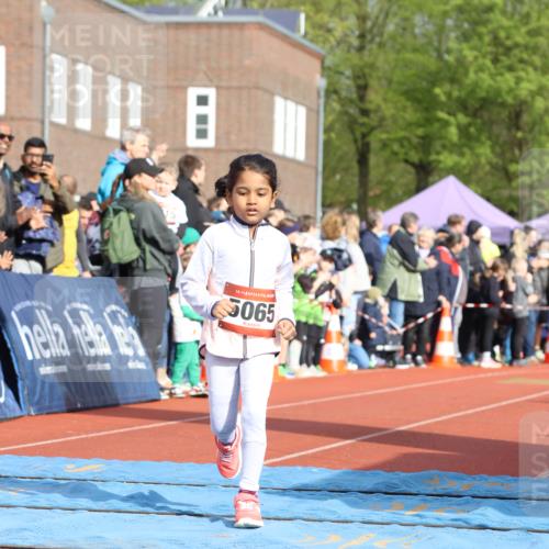 14.04.2024 - Hammer Lauf Strokosch-Dieckow http://msf.ph/oto/6064832 14.04.2024 09:32:31 Ziel  meine-sportfotos.de