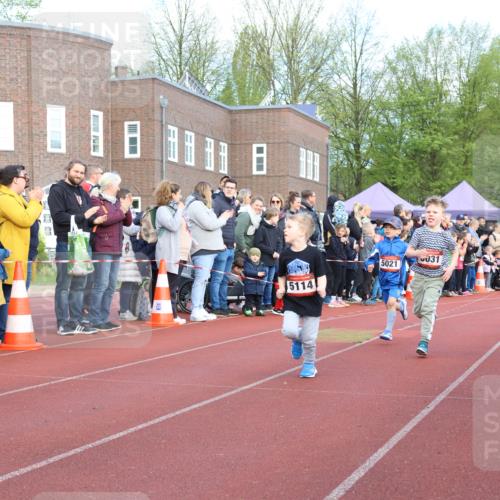 14.04.2024 - Hammer Lauf Strokosch-Dieckow http://msf.ph/oto/6064939 14.04.2024 09:39:29 Ziel  meine-sportfotos.de