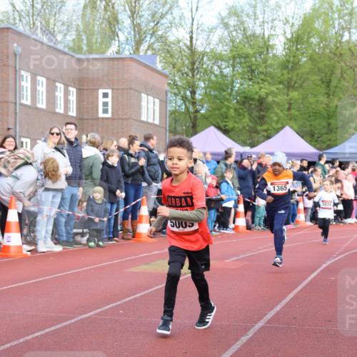 14.04.2024 - Hammer Lauf Strokosch-Dieckow http://msf.ph/oto/6064964 14.04.2024 09:39:45 Ziel  meine-sportfotos.de