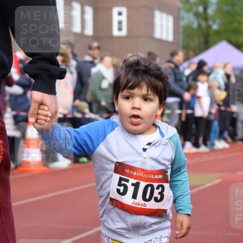 14.04.2024 - Hammer Lauf Strokosch-Dieckow http://msf.ph/oto/6065046 14.04.2024 09:41:53 Ziel  meine-sportfotos.de
