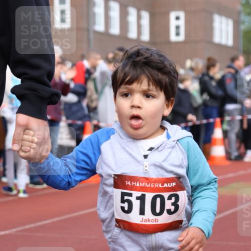 14.04.2024 - Hammer Lauf Strokosch-Dieckow http://msf.ph/oto/6065048 14.04.2024 09:41:54 Ziel  meine-sportfotos.de