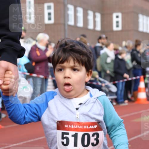 14.04.2024 - Hammer Lauf Strokosch-Dieckow http://msf.ph/oto/6065049 14.04.2024 09:41:54 Ziel  meine-sportfotos.de
