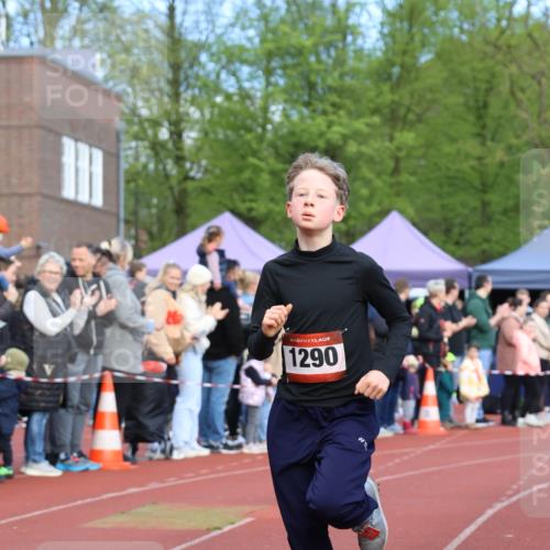 14.04.2024 - Hammer Lauf Strokosch-Dieckow http://msf.ph/oto/6065065 14.04.2024 09:48:57 Ziel 650, 1290, 650, 1290 meine-sportfotos.de