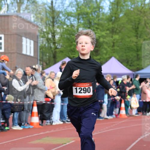 14.04.2024 - Hammer Lauf Strokosch-Dieckow http://msf.ph/oto/6065066 14.04.2024 09:48:57 Ziel 650, 1290, 650, 1290 meine-sportfotos.de