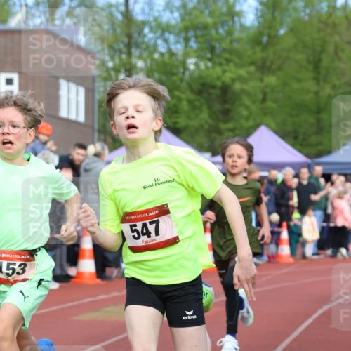 14.04.2024 - Hammer Lauf Strokosch-Dieckow http://msf.ph/oto/6065080 14.04.2024 09:49:11 Ziel 153, 346, 547, 939, 1351, 1401, 153, 346, 547, 939, 1351, 1401 meine-sportfotos.de