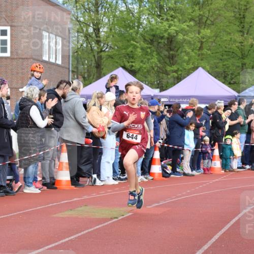 14.04.2024 - Hammer Lauf Strokosch-Dieckow http://msf.ph/oto/6065090 14.04.2024 09:49:28 Ziel 367, 644, 367, 644 meine-sportfotos.de