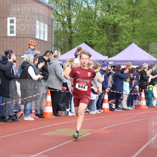 14.04.2024 - Hammer Lauf Strokosch-Dieckow http://msf.ph/oto/6065091 14.04.2024 09:49:28 Ziel 367, 644, 367, 644 meine-sportfotos.de