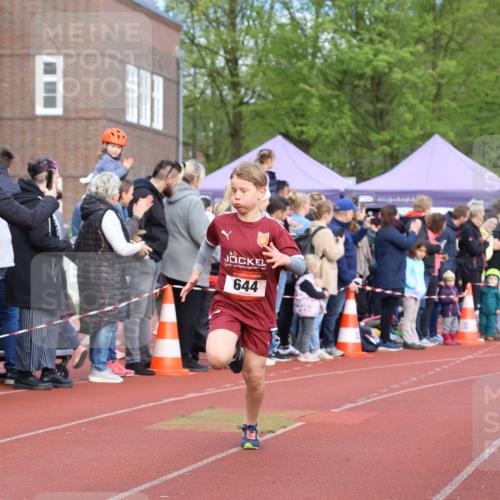 14.04.2024 - Hammer Lauf Strokosch-Dieckow http://msf.ph/oto/6065092 14.04.2024 09:49:28 Ziel 367, 644, 367, 644 meine-sportfotos.de