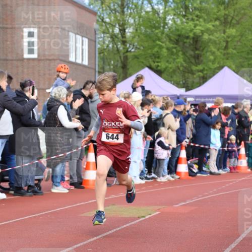 14.04.2024 - Hammer Lauf Strokosch-Dieckow http://msf.ph/oto/6065093 14.04.2024 09:49:28 Ziel 367, 644, 367, 644 meine-sportfotos.de