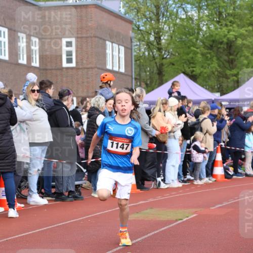 14.04.2024 - Hammer Lauf Strokosch-Dieckow http://msf.ph/oto/6065109 14.04.2024 09:49:38 Ziel 154, 789, 865, 947, 1147, 154, 789, 865, 947, 1147 meine-sportfotos.de